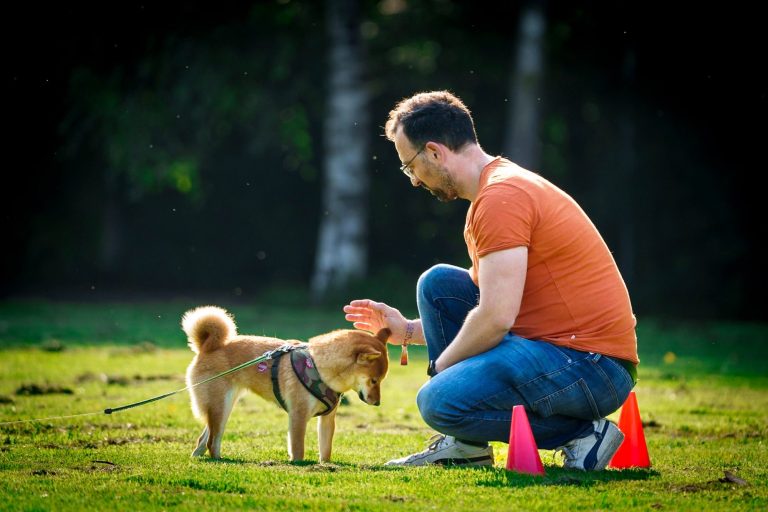 Training im Wienburgbark